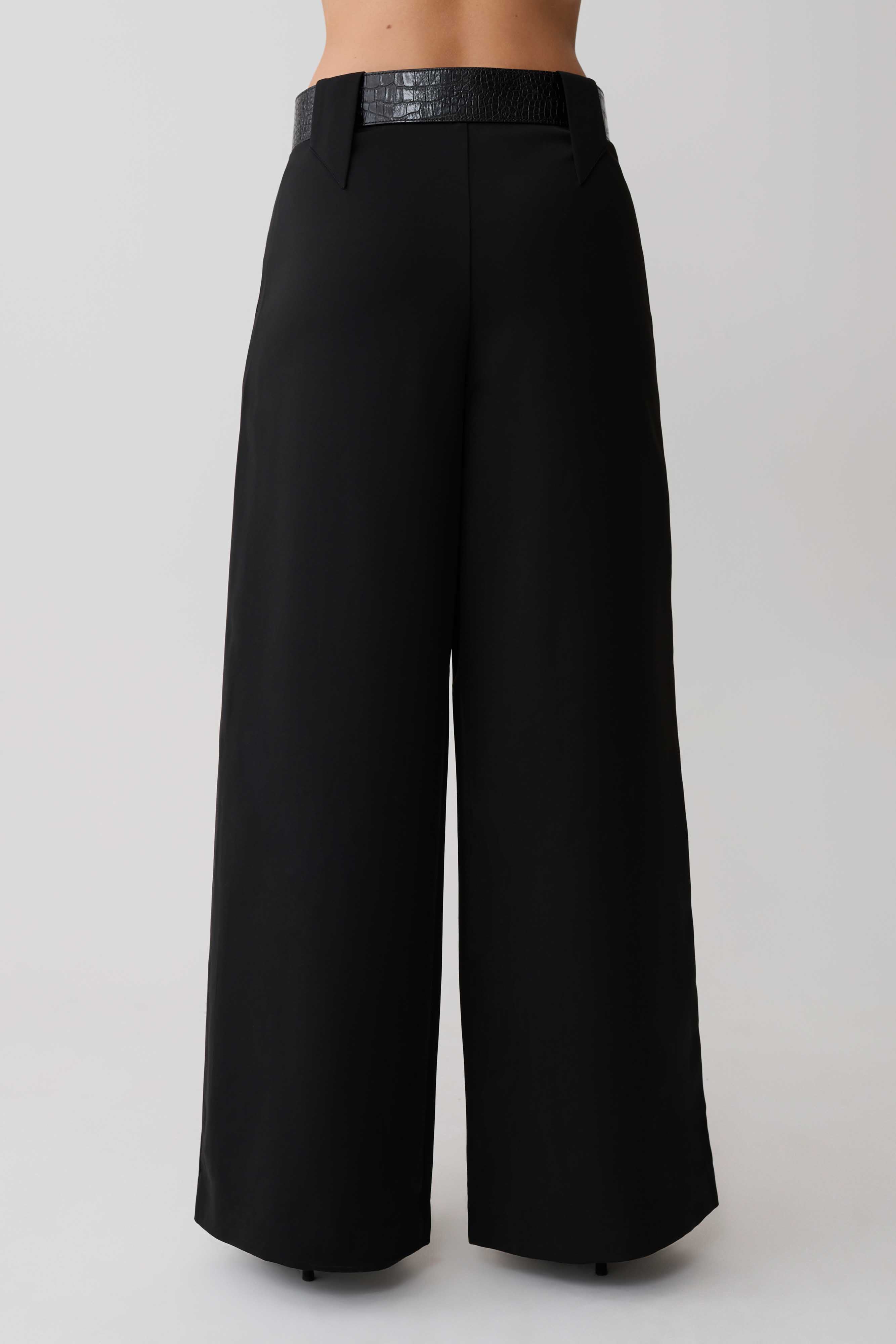 Arlo Wide Leg Suiting Trouser - Black