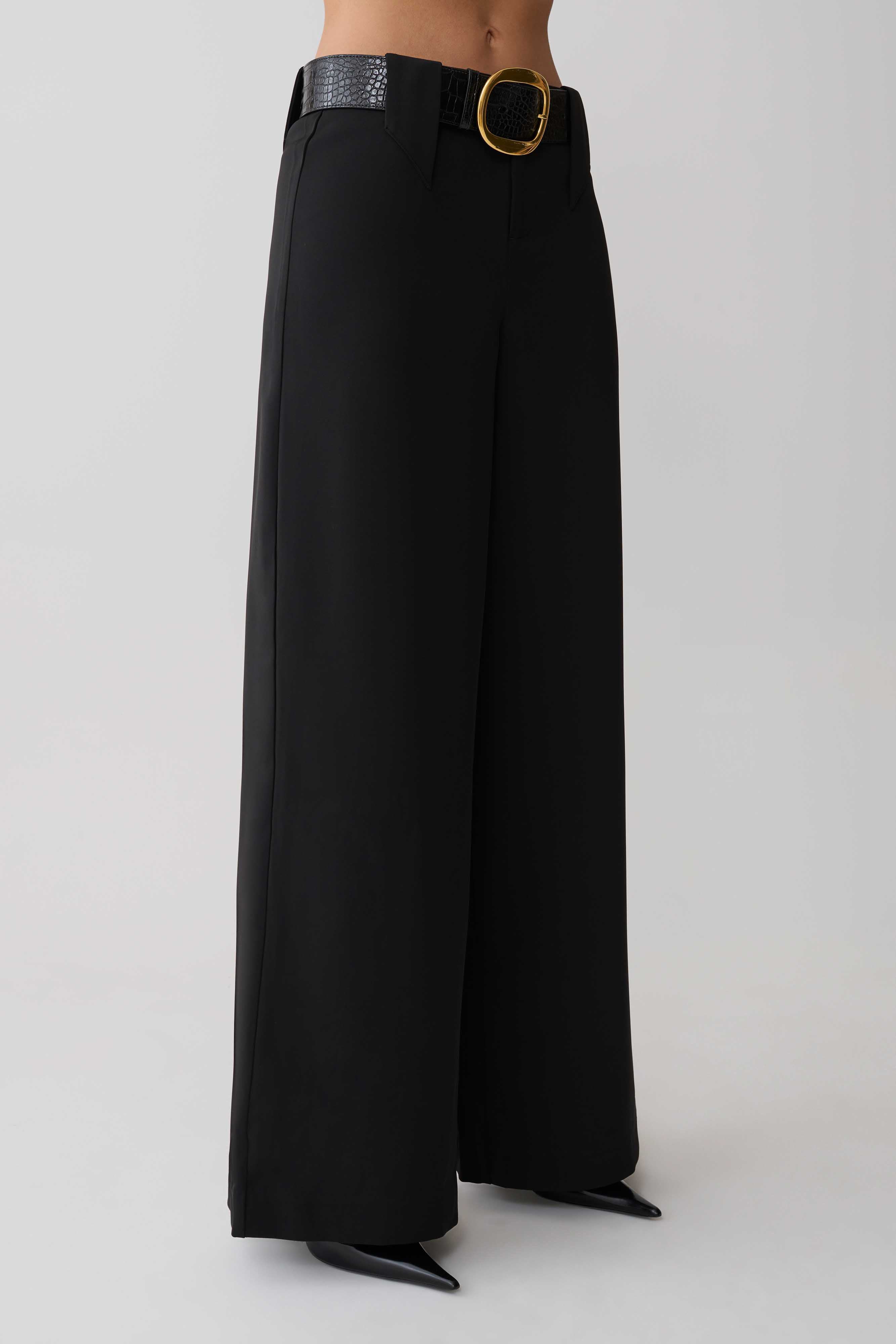 Arlo Wide Leg Suiting Trouser - Black