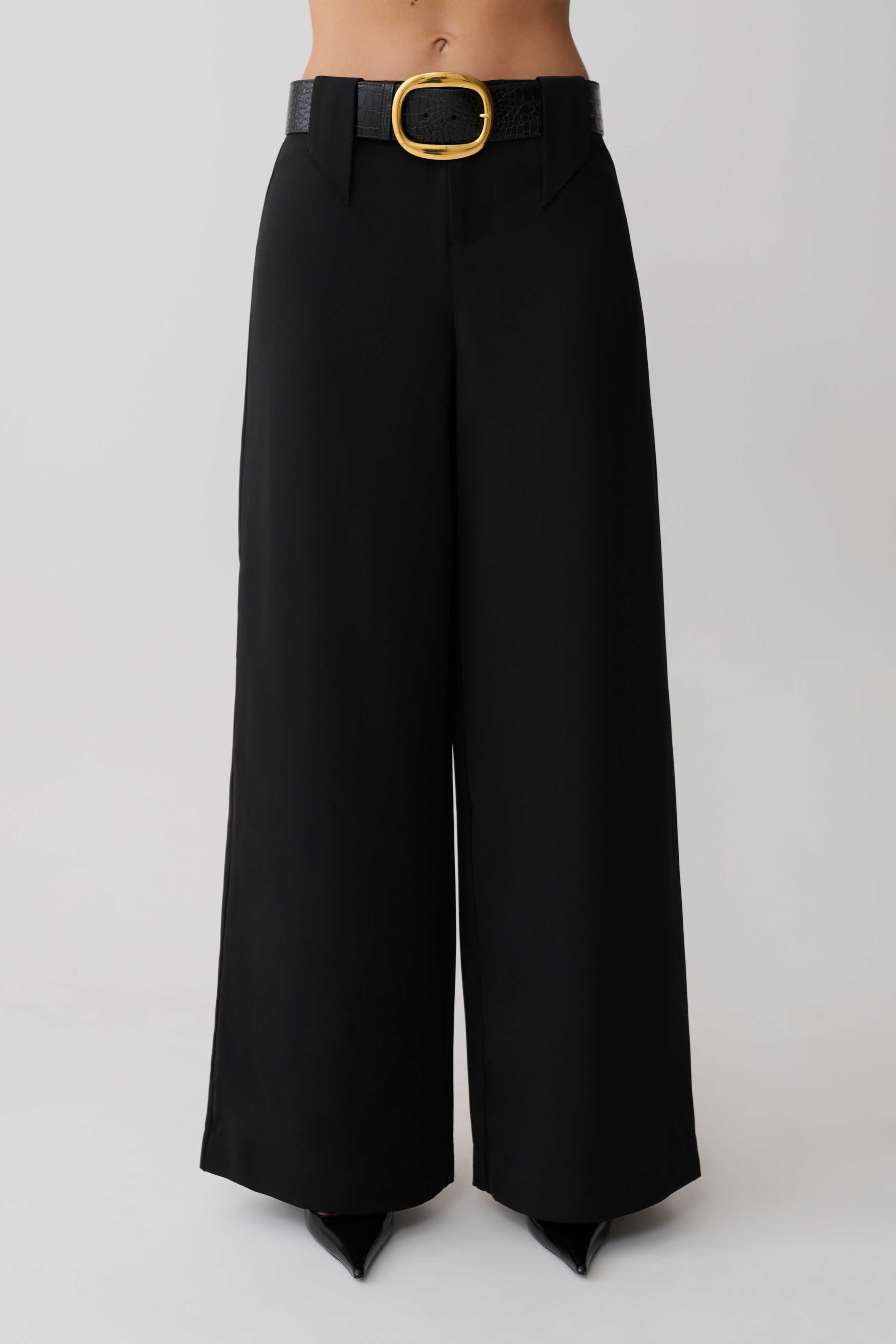 Arlo Wide Leg Suiting Trouser - Black